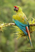 COSTA RICA